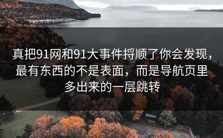 真把91网和91大事件捋顺了你会发现，最有东西的不是表面，而是导航页里多出来的一层跳转