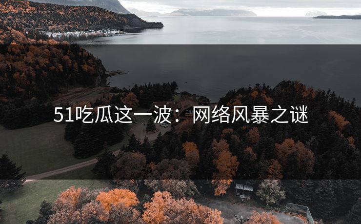 51吃瓜这一波：网络风暴之谜