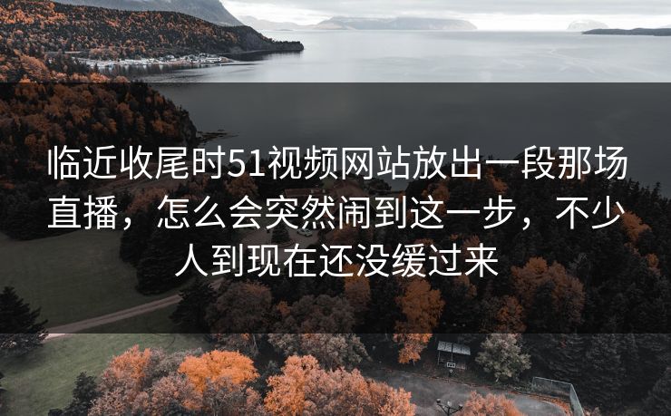 临近收尾时51视频网站放出一段那场直播，怎么会突然闹到这一步，不少人到现在还没缓过来