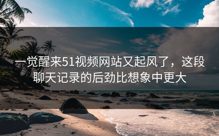 一觉醒来51视频网站又起风了，这段聊天记录的后劲比想象中更大
