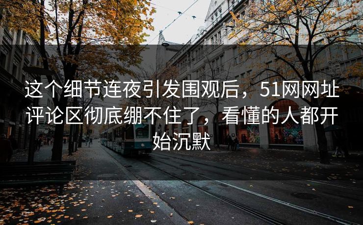 这个细节连夜引发围观后，51网网址评论区彻底绷不住了，看懂的人都开始沉默