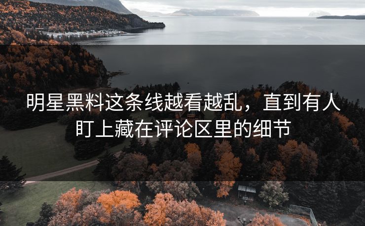 明星黑料这条线越看越乱，直到有人盯上藏在评论区里的细节