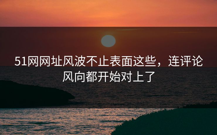 51网网址风波不止表面这些，连评论风向都开始对上了