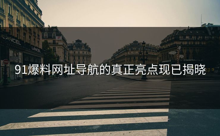 91爆料网址导航的真正亮点现已揭晓
