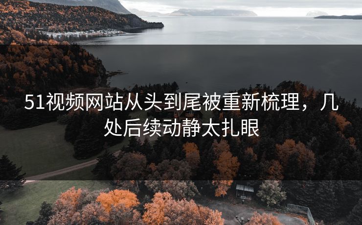 51视频网站从头到尾被重新梳理，几处后续动静太扎眼