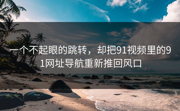 一个不起眼的跳转，却把91视频里的91网址导航重新推回风口