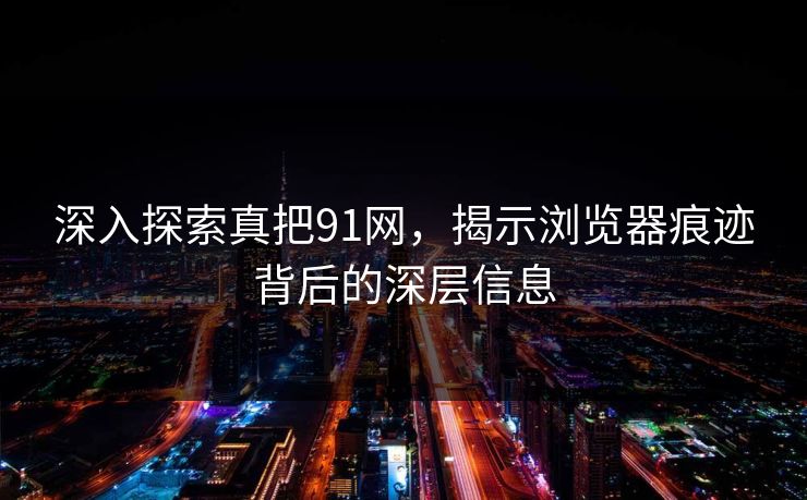 深入探索真把91网，揭示浏览器痕迹背后的深层信息