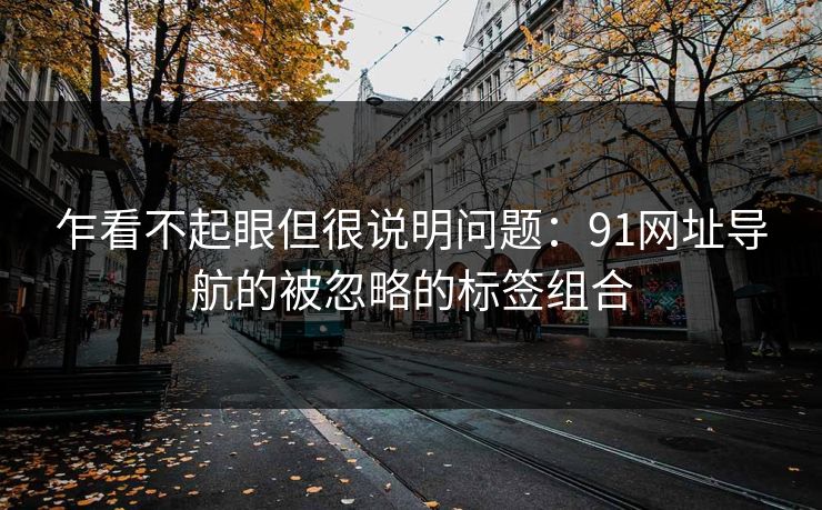 乍看不起眼但很说明问题：91网址导航的被忽略的标签组合